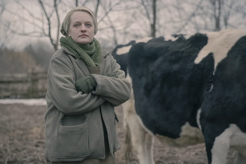 The Handmaid's Tale