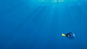 À Procura de Dory