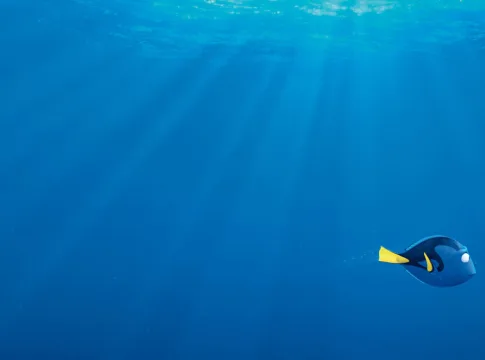 À Procura de Dory