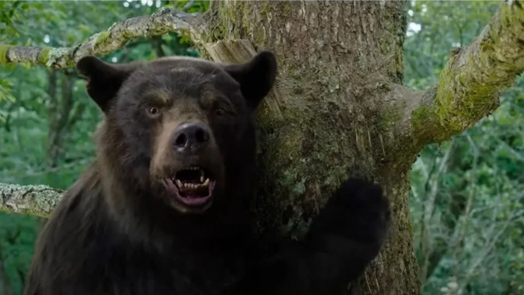 O Urso do Pó Branco