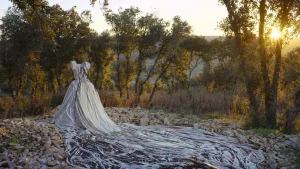 Wim Wenders a três dimensões – opinião