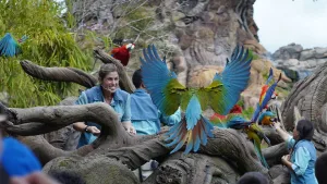 Magic of Disney’s Animal Kingdom | Disney+