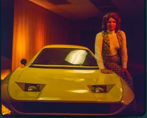 The Lady and The Dale: O Estranho Caso de Liz Carmichel