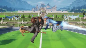 Harry Potter: Quidditch Champions – Campos de Quidditch