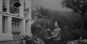 4 filmes portugueses selecionados para os prémios ibero-americanos