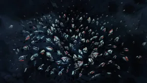 “Percebes” e “Bad For a Moment” no Festival Internacional de Clermont-Ferrand