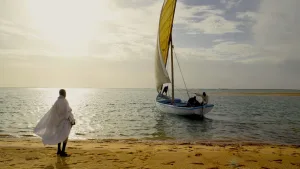 Especial Documentários em Português – ciclo TVCine