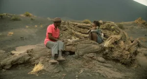  “Hanami “estreia 15 de maio com sessões especiais