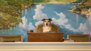 Passatempo «O Processo do Cão»