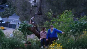 Histórias do Vale Bom