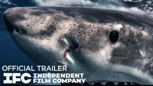 Chum – trailer