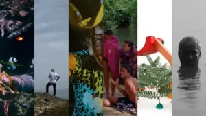 Seleção Oficial 32.ª edição do CineEco